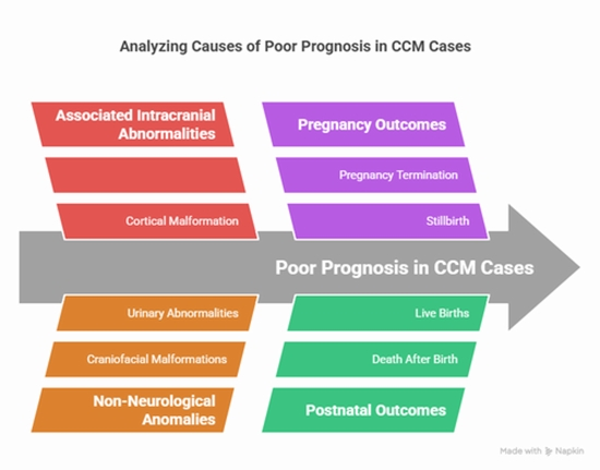Fetal MRI Outcomes in Corpus Callosum Malformations {faces}